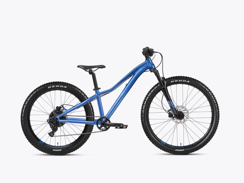 Vélo Dartmoor Sparrow Junior 26/24